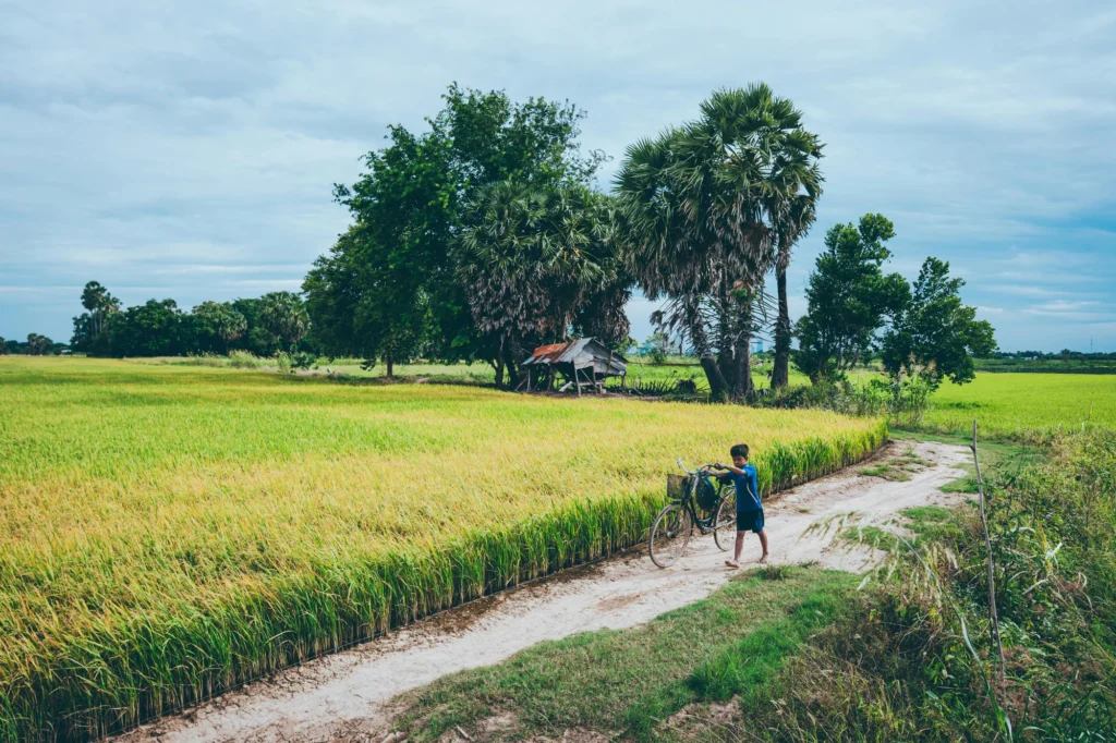 country side pexels-chorn-travit-2147527884-34809450